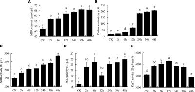 Transcriptome and functional analyses reveal ERF053 from Medicago falcata as key regulator in drought resistances